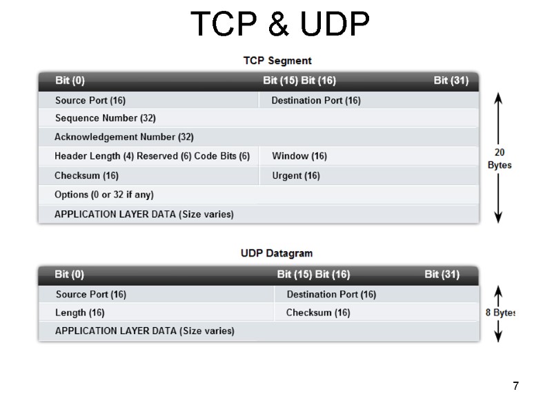 7 TCP & UDP